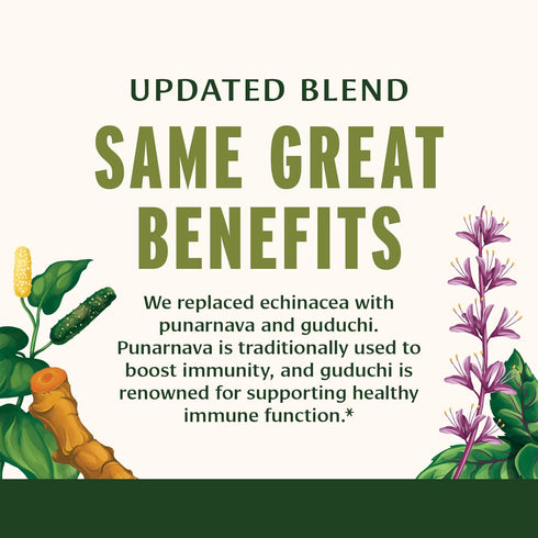 Banyan Botanicals Immune Strong – Organic Supplement with Turmeric & Tulsi – Ayurvedic Immune Formula That Supports The Body's Natural Defenses* –...