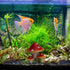Saim Mushroom House Aquarium Decorations Fish Tank Rocks Caves Landscape Ornament Mini Landscape House Fairy Garden Decoration...
