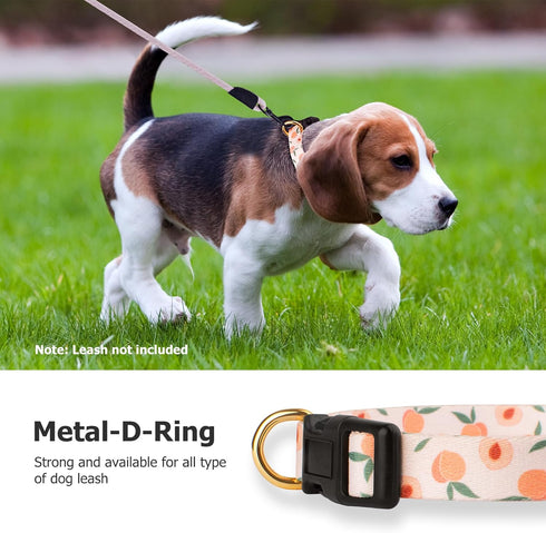 Handmade Dog Collar for Small Medium Large Dogs,White Peach with Pendant Fall and Winter Fashions Dog Collar,Ideal for Girl Dogs Boy Dogs (Small)...