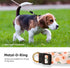 Handmade Dog Collar for Small Medium Large Dogs,White Peach with Pendant Fall and Winter Fashions Dog Collar,Ideal for Girl Dogs Boy Dogs (Small)...