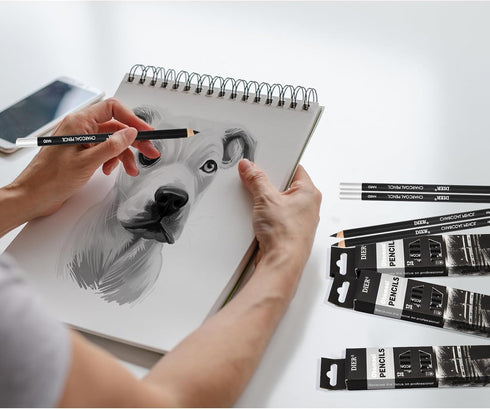 Geyoga 36 Pcs Professional Charcoal Pencils Soft,medium and Hard for Drawing Charcoal Pencils Drawing Set Drawing Pencils for Sketching Shading Dr...