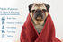 DAN RIVER Dog Towels for Drying Dogs Large, 100% Cotton Puppy Bath Towel, Ultra Soft 450 GSM Super Absorbent Quick Dry Pet Grooming Supplies, 20x4...