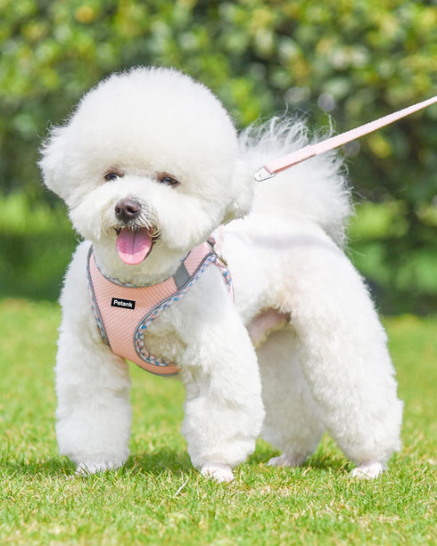 Petank Dog Harness for Small Medium Dogs No Pull, Puppy Harness and Leash Set, Easy Walk Dog Harness for Walking, Running, Training, Small Dog Har...