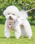 Petank Dog Harness for Small Medium Dogs No Pull, Puppy Harness and Leash Set, Easy Walk Dog Harness for Walking, Running, Training, Small Dog Har...