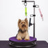 Pet Dog Grooming Arm Accessories Supplies Compatible for Groomers Helper Grooming Loop Dog Grooming Extension Strap Adjustable Dog Grooming Table ...