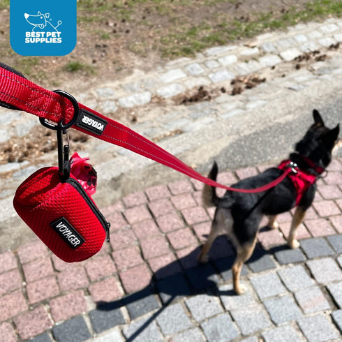Best Pet Supplies 2-Pack Dog Poop Bag Holder Leash Attachment, Color, Reusable Mesh Dispenser Pouch for Travel, Walking, Park, and Outdoor Use, So...