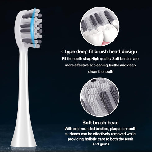 A2 Sonic Electric Toothbrush Replacement Brush Heads, Standard Type, (Shape 4 Pack...