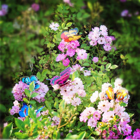Butterfly Stakes 50pcs Decorative Garden Waterproof Small Butterfly Decor Garden for Plants Flower Beds Plant Pots...