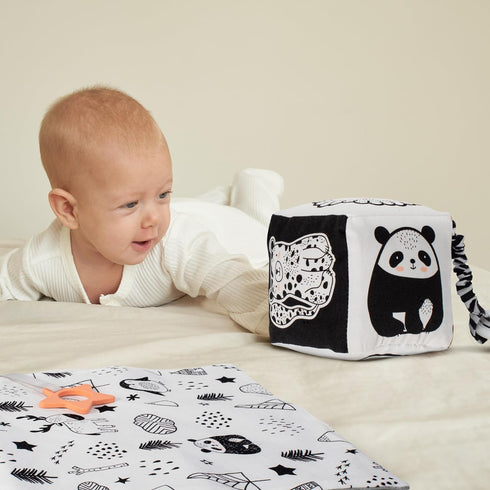 The Ultimate Tummy Time Toys Set of 3 - Soft High Contrast Book, Toy Block, Crinkle Paper and Teether - Stimulating Black & White Sensory Developm...