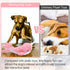 Mity rain 2 in 1 Interactive Dog Toys, Fish Dog Toy to Keep Them Busy, Plush Squeaky Dog Toys, Rechargeable Wiggly Pink Pet Toys for Small Medium ...