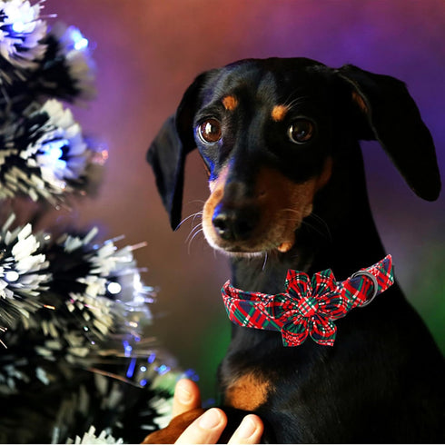 Elegant little tail Dog Collar with Flower, Red Plaid Christmas Dog Collar with Flower Dog Flowers Holiday Pet Collar Puppy Flower Girl Boy Dog Co...