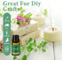 Essential Oils Blends Set for Diffusers for Home, Aromatherapy Diffuser Oil Scents - Calming, Sweet Dreams, Immunity, Relax, Mood, Fresh Air, Frag...