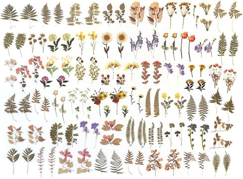 Flower Plant Stickers Set (120PCS) - PET Transparent Decorative Sticker for Scrapbooking Planner Journaling Wrapping DIY Crafts Cards Album Water ...
