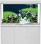 AWERT 36x18 inches Seaweed Aquarium Background Stone Aquarium Background Aquatic Plant River Bed & Lake Fish Tank Background Vinyl Background...