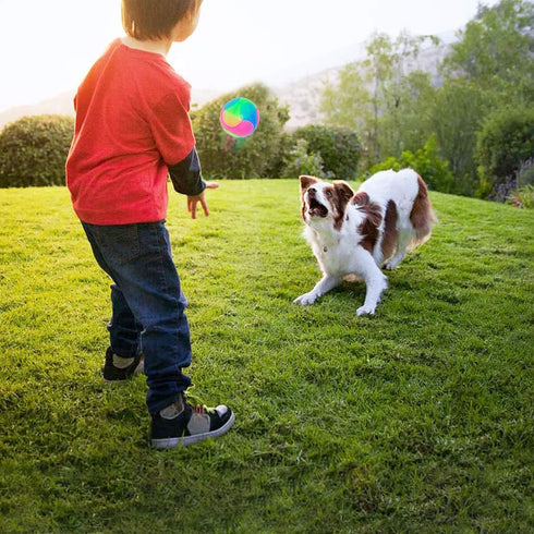 FineInno 4 pcs Large Light Up Dog Balls Flashing Elastic Ball Glow in The Dark Interactive Pet Toys for for Golden Retriever,Labrador,Large Dogs...