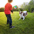 FineInno 4 pcs Large Light Up Dog Balls Flashing Elastic Ball Glow in The Dark Interactive Pet Toys for for Golden Retriever,Labrador,Large Dogs...