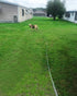 Long Rope Leash for Dog Training 12, 15, 22, 30, 50, 75, 100ft Check Cord Recall Agility Lead Long Dog Line for Large Medium Small Dogs, Great for...
