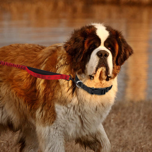 PuppyDoggy Adjustable Dog Collar Black Nylon Dog Collar Martingale Collar for Dogs with Quick Release Buckle Classic Pet Collar for Small Medium L...