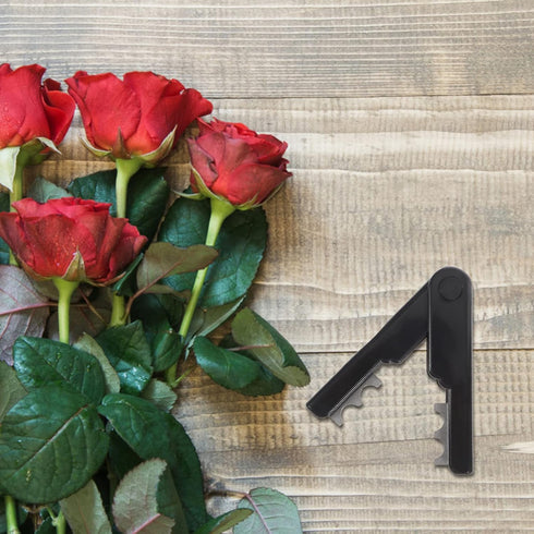 Abaodam 2 Pcs Leaf Thorn Stripper Tool Roses Thorn Remover Professional Tree Pruner Hand Tools DIY Bouquet Garden Florist Tool for Gardening Flowe...