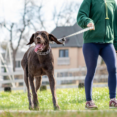 Prong Collar for Dogs Adjustable No Pull Dog Choke Pinch Training Collar with Comfortable Rubber Tip for Small Medium Large Dogs (Medium, Pink)...