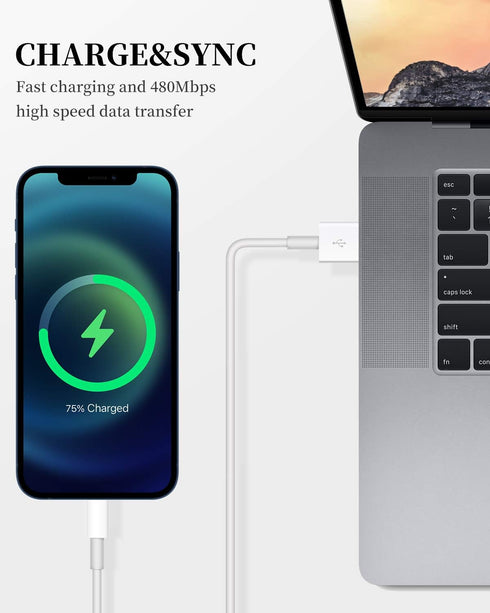 Apple iPhone Charger Cable, 2 Pack Original USB to Lightning Cable Apple MFI Certified 1Ft, Fast iPhone Charging Cord for iPhone 11/11Pro/11Max/ X...