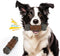 Large Dog Toys for Aggressive Chewers, Tough Dog Toys for Aggressive Chewers, Indestructible Dog Toy, Dog Bones Long Lasting for Medium/Large Dogs...