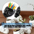 2PCS White and Black Skull Succulent Planter Pots Set, Creative Plant Lover Gifts Cactus Plant Pot Pen Pencil Holder for Home Office Decor (Black ...