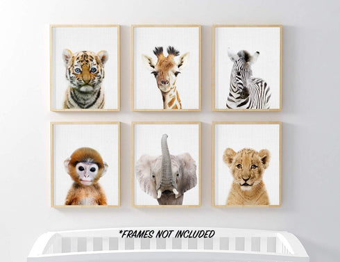 EPHANY Baby Animal Posters and Prints Baby Nursery Decor Pictures Set of 6 (Unframed) Cute Animal Photography Wall Prints for Baby Boys & Girls Ro...