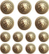 14 Pieces Lion Gold Metal Blazer Button Set 15MM 20MM for Blazers, Suits, Sport Coats, Uniform, Jackets (MBM23)...