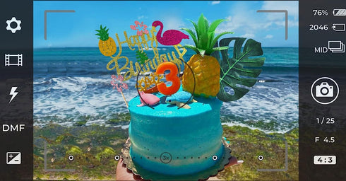LaVenty Moana Cake Topper Moana Birthday Cake Decoration Flamingo Cake Toppers Flamingo Happy Birthday Cake Decoration...