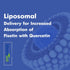 Liposomal Fisetin with Quercetin Supplements 1200 mg per Serving,High Absorption Polyphenols Antioxidants for Women,Men,Non-GMO,Gluten-Free,1 Bott...