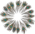 12 PCS Real Natural Peacock Eye Feathers 10-12 inch for DIY Craft, Wedding and Holiday Decorations...