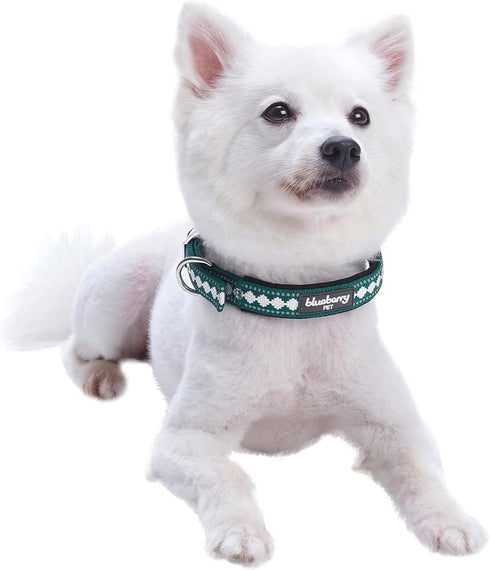 Blueberry Pet Soft & Safe 3M Reflective Jacquard Neoprene Padded Adjustable Dog Collar with Metal Buckle - Teal Blue, Neck 17-20.5", for Large Bre...