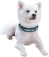 Blueberry Pet Soft & Safe 3M Reflective Jacquard Neoprene Padded Adjustable Dog Collar with Metal Buckle - Teal Blue, Neck 17-20.5", for Large Bre...