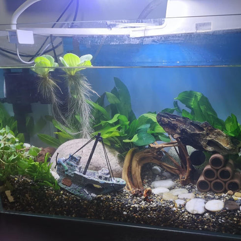 Aquarium Shipwreck Decoration + Little Diver Floating Fish Tank Decoration, Fish Tank Hideout, Fish Tank Ornaments (Shipwreck)...