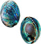 Polished Abalone Shell, 4.5" to 5.5", in Gift Box, for Smudging, Cleansing, Meditation, Home Décor and to Gift. 100% Natural Shell - Sustainably S...