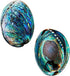 Polished Abalone Shell, 4.5" to 5.5", in Gift Box, for Smudging, Cleansing, Meditation, Home Décor and to Gift. 100% Natural Shell - Sustainably S...