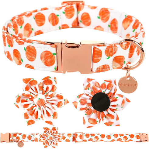 Halloween Dog Collar with Flower, Pumpkin Cotton Flower Collar for Small Girl Boy Dog, Fall Dog Collar Flower with Durable Metal Buckle, Adorable ...