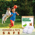 SEEKBIT 4 Pack Squirrel Repellent, Peppermint Garlic Keep Squirrel Out of Attic, Car, Engines, Roof, Outdoor Squirrel Deterrent Repels Chipmunk Ro...
