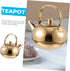 1pc Stainless Steel Pot Cast Iron Pot Stainless Steel Stove Top Kettle Cast Iron Teapot Kettle with Strainer Large Capacity Kettle Kung Fu Tea Ket...