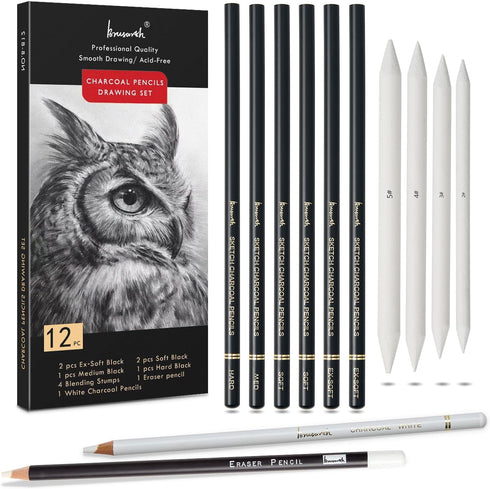Charcoal Drawing Set -12 pc Black charcoal pencils, White Charcoal Pencils, Eraser Pencils, Blending Stumps for Drawing, Sketching, Shading, Artis...