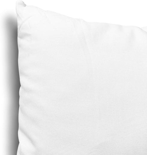 EDOW Throw Pillow Inserts, Set of 2 Lightweight Down Alternative Polyester Pillow, Couch Cushion, Sham Stuffer, Machine Washable. (White, 18x18)...