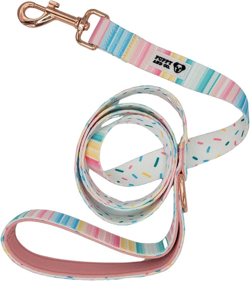Cute 5ft Dog Leash, Stylish Nylon with Padded Handle for Everyday Walking & Comfort – for Small, Medium, Large XL Breed Dogs – Pet Accessories by ...