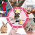 Dog Nail Polish Pens Quick Dry, 15 Colors Pet Nail Polish Set for Dogs to DIY Stylish Dog Nail Art, Dog Safe Nail Polish Non Toxic, Easy to Use - ...