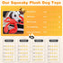 Large Dog Toys Squeaky: Plush dog toys - Stuffed Dog Toys - Big Dog Toys for Small Medium Large Breeds...