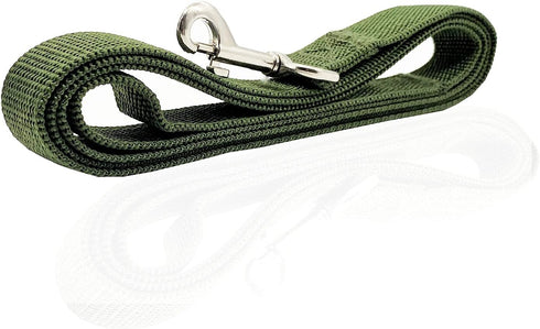 Nylon Dog Leash 10 Feet Long, Walking Training Dog Leashes for Medium Large Dogs, 1 Inch Wide (Green)...