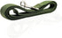 Nylon Dog Leash 10 Feet Long, Walking Training Dog Leashes for Medium Large Dogs, 1 Inch Wide (Green)...