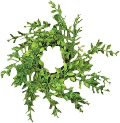 CWI Gifts Plastic Wreath Rings - 9 inch - Wreath Decor for Front Door and Candle Decorating - Spring Green...