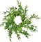 CWI Gifts Plastic Wreath Rings - 9 inch - Wreath Decor for Front Door and Candle Decorating - Spring Green...