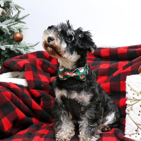 ARING PET Christmas Dog Collar-Green Santa Claus Dog Collar with Bow, Adjustable Cotton Christmas Pet Collars Puppy Collars with Metal Buckle...